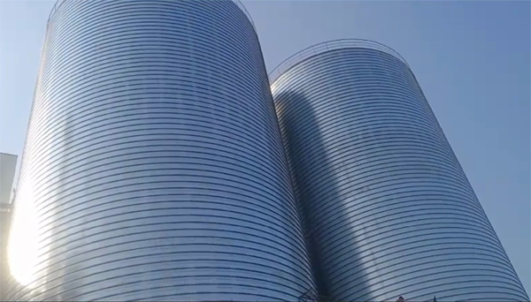 白云2座混凝土高架卷板仓